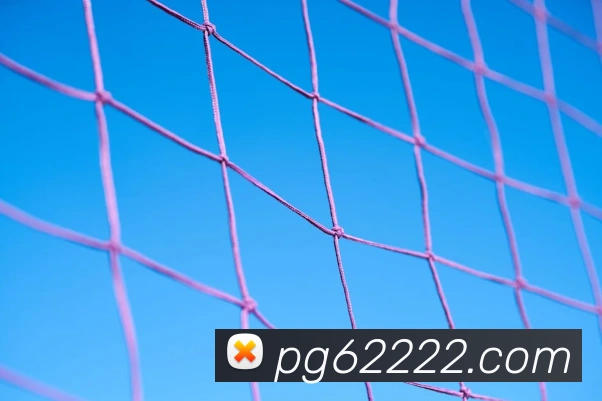 pg电子模拟器全站App